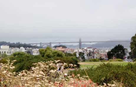 The park runs along the Marina and has views of the Golden Gate Bridge -- well, at least part of it today!